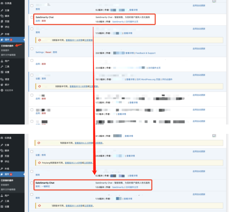 启用SaleSmartly Chat
