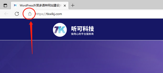 HTTPS 的网站