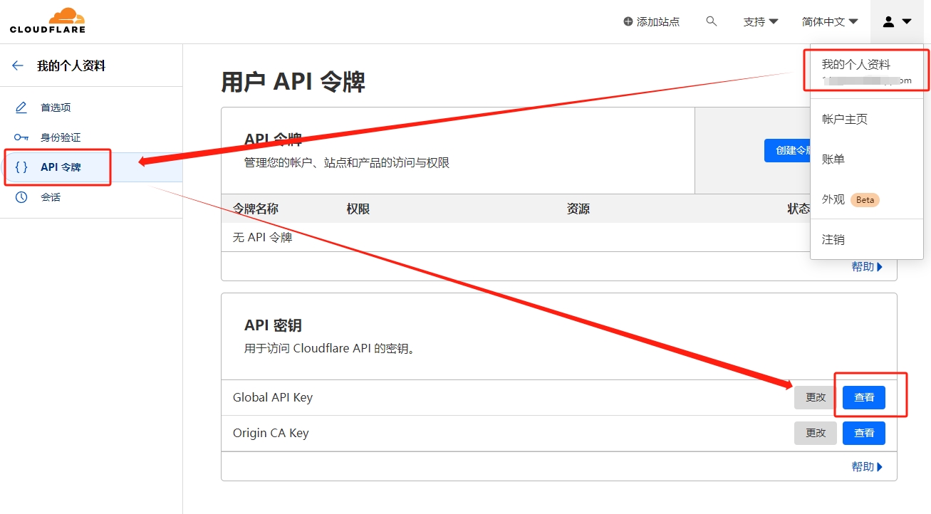 Cloudflare 帐户复制 API 密钥