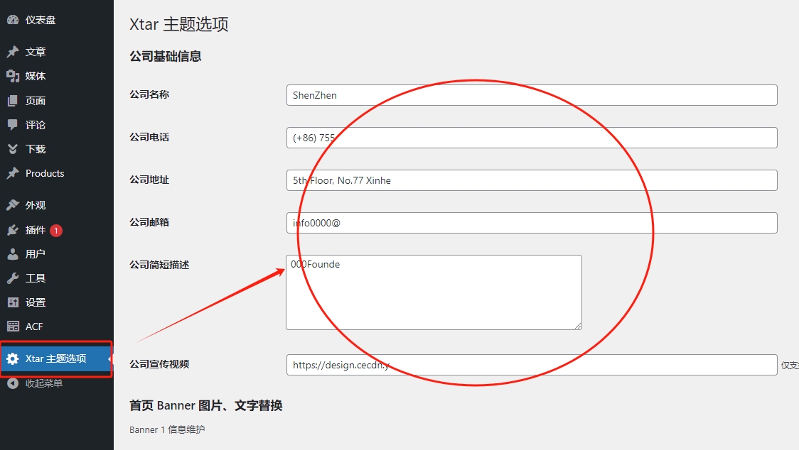 WordPress 主题选项开发